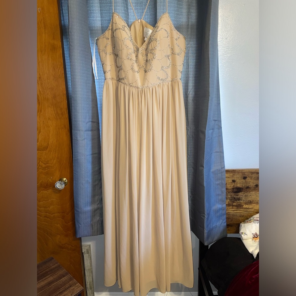 Size 20W Adrianna Papell evening gown